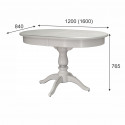 Стол обеденный Тарун 4 раздвижной белый/серебро 120/160*84 фото Stolmag